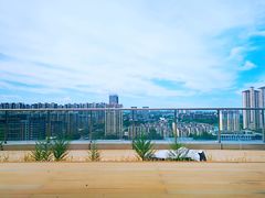 -Seesaw Coffee(朝阳大悦城店)