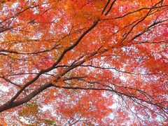 -青岛崂山太清宫