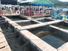 -海上驿站渔家菜馆