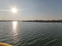 -漕湖湿地公园