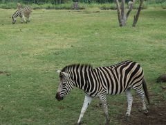 -卡塞拉自然公园