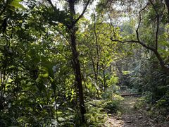 -佛山市三水区大南山森林公园