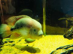 -弓舍射箭俱乐部(高新总店)