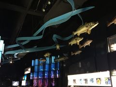 -同济大学四平路校区深海探索馆