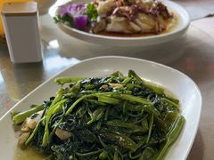 -鲤鱼塘农家山庄