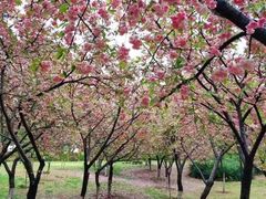 -北京科技大学-游泳馆