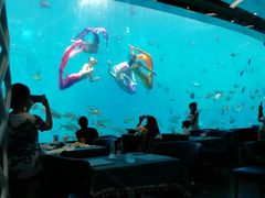 -瑞德姆美人鱼海底演艺主题餐厅(亚龙湾店)