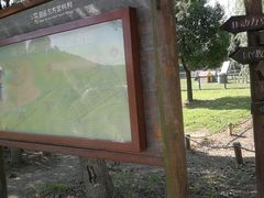 -田园东方蜜桃村的田野营地