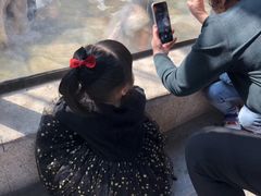 -灵玲国际马戏城