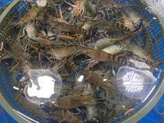 -王四营海鲜市场