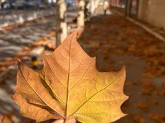 -广东药科大学(广州校区大学城校园)