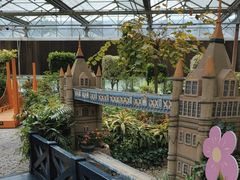 -南宫五洲植物乐园