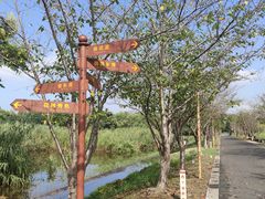 -长田漾湿地公园