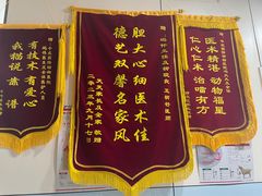 -中农国际动物医院24小时·猫科·骨科·急重症中心