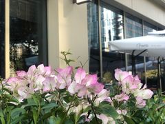 -Brut Eatery悦璞食堂(建国东路店)