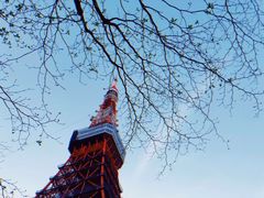 -东京塔海贼王主题公园