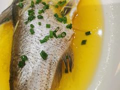 -熠盛粤味·顺德桑拿鸡(永康路店)