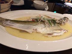 -杭州桐庐康莱德酒店西餐厅-舍