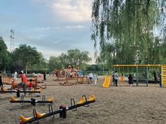 -大兴滨河森林公园