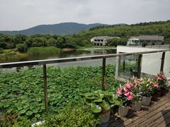 -苏州环秀晓筑养生度假村