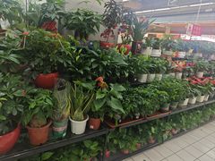 -大润发(张江店)