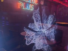 -Darling Queen·Mini·Live·House