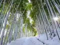 -径山寺