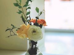 -蝶舍·MAISON PAPILLON