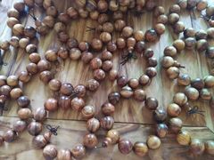 -东北饺子馆(外贸路a9号店)