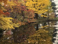 -北海道厅旧本厅舍(旧本庁舎)