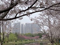 -堤角公园