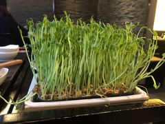 豌豆苗-捞王锅物料理(金城路店)