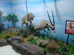 -西霞口神雕山野生动物世界