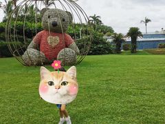 -三亚亚龙湾天域度假酒店