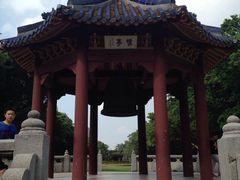 -中山大学学者灵芝(园南路店)