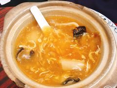 -添發碗仔翅美食