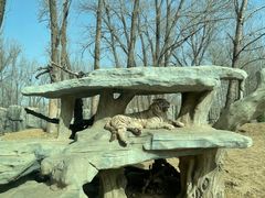 -北京野生动物园