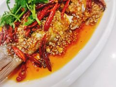 -田记餐馆(富国街店)