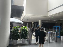 -四川大学博物馆
