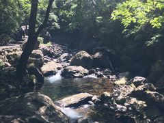 -白云源风景区