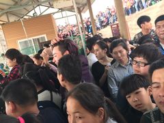 -古柏渡飞黄旅游区