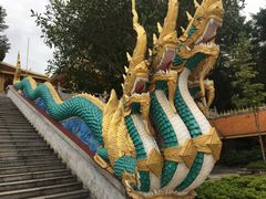 -西双版纳勐泐文化旅游区