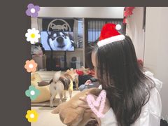 -逗柴咖啡屋·狗咖猫咖宠物桌游