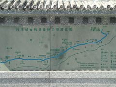 -羚羊峡古栈道森林公园
