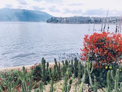 -大理洱海