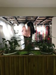 -麦莎MA3A摄影工作室(美兰金邸店)