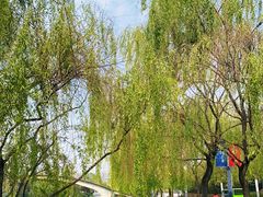 -西安世博园