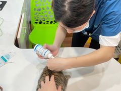 -瑞派动物医院·绝育·犬猫全科·预防医学(光景江南中店)