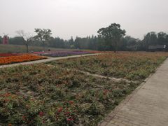 -同里国家湿地公园