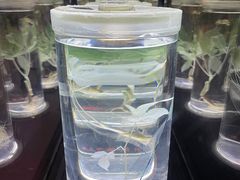 -广东中医药博物馆